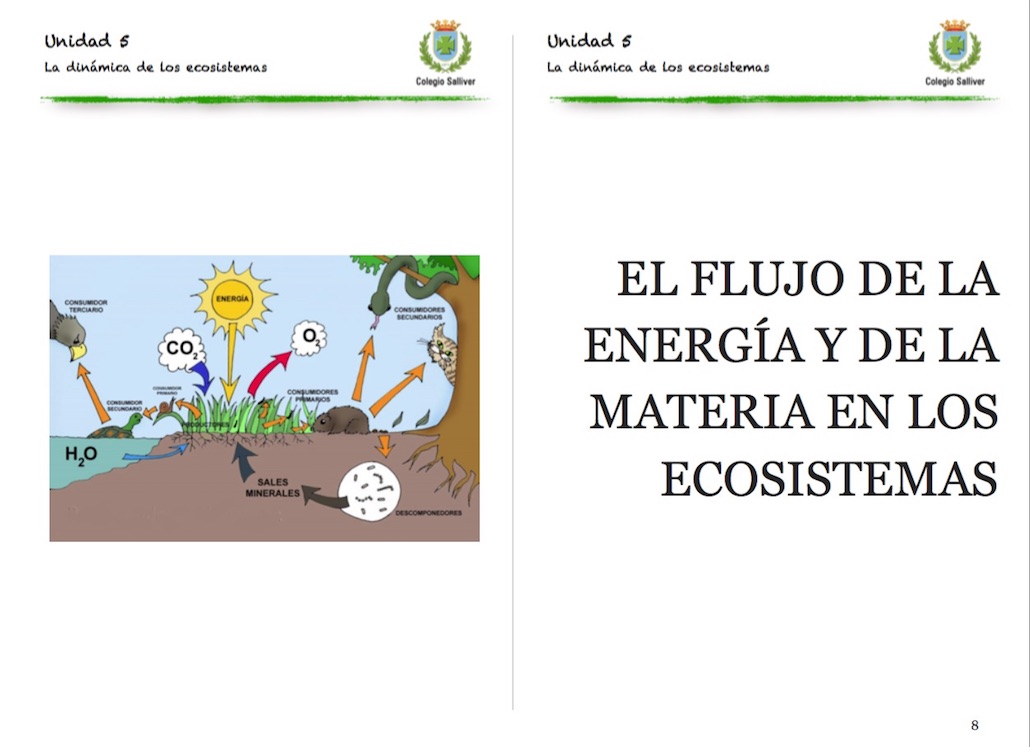 Flujo de energía y materia en los ecosistemas