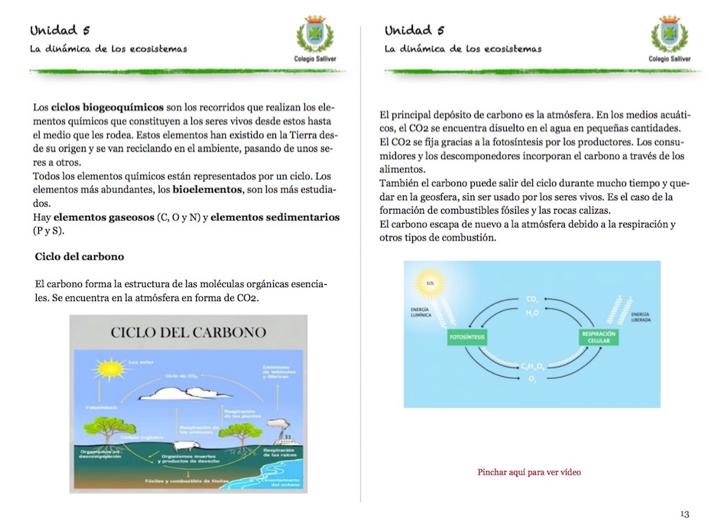 El Ciclo Del Carbono 3401